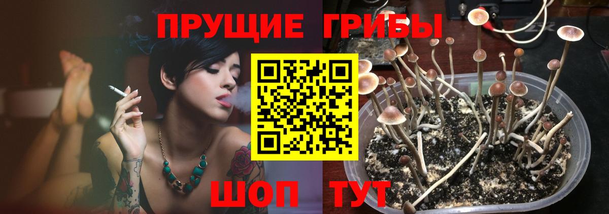 Галлюциногенные грибы Psilocybine cubensis  Вход с VPN  Юрга  цена наркотик  Псилоцибиновые грибы Magic Shrooms 